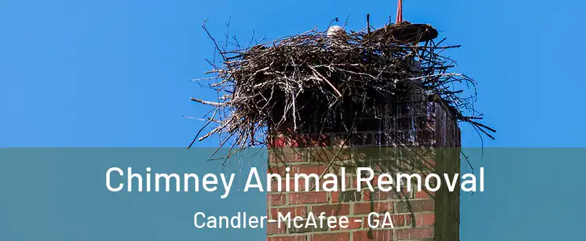  Chimney Animal Removal Candler-McAfee - GA