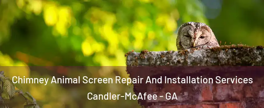 Chimney Animal Screen Repair And Installation Services Candler-McAfee - GA