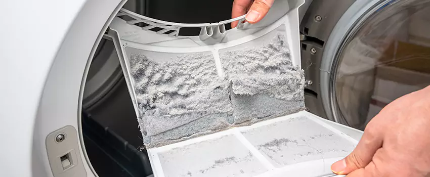 Best Dryer Lint Removal Company in Candler-McAfee, Georgia
