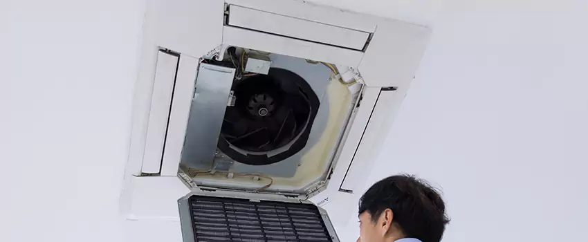 Benefits of Professional Air Duct Cleaning in Candler-McAfee, Georgia